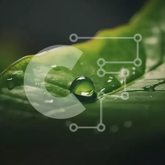 Intra Συλλεκτικό Ξύλινο Παζλ Plywood  4mm - Κοντινό πλάνο ενός πράσινου φύλλου με σταγόνα νερού Σε Ξύλινο Κουτί - Διαστάσεις: 10x10 cm – 25 κομμάτια