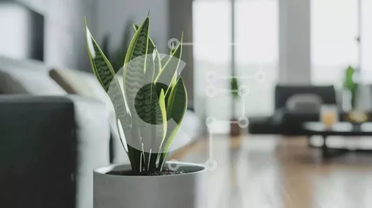 Intra Συλλεκτικό Ξύλινο Παζλ Plywood  4mm - Φυτό εσωτερικού χώρου σε γλάστρα και βιβλία στο σαλόνι Σε Ξύλινο Κουτί - Διαστάσεις Puzzle: 10x10 cm – 25 κομμάτια