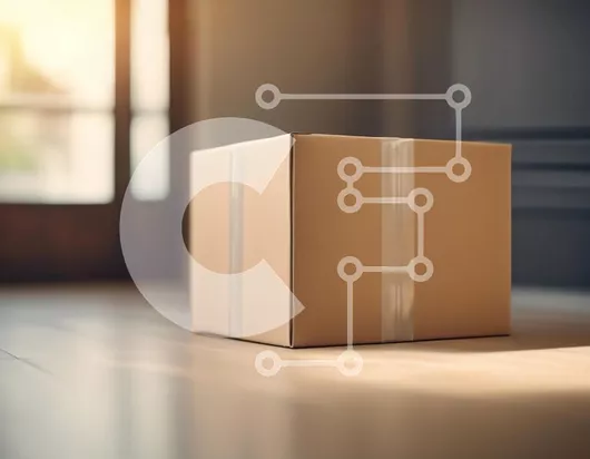 Intra Συλλεκτικό Ξύλινο Παζλ Plywood  4mm - Χάρτινο κουτί στο ηλιόλουστο δωμάτιο Σε Ξύλινο Κουτί - Διαστάσεις Puzzle: 10x10 cm – 25 κομμάτια