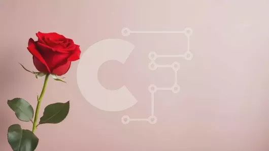 Intra Συλλεκτικό Ξύλινο Παζλ Plywood  4mm - Ρομαντικό μονό κόκκινο τριαντάφυλλο σε ροζ φόντο Σε Ξύλινο Κουτί - Διαστάσεις Puzzle: 10x10 cm – 25 κομμάτια