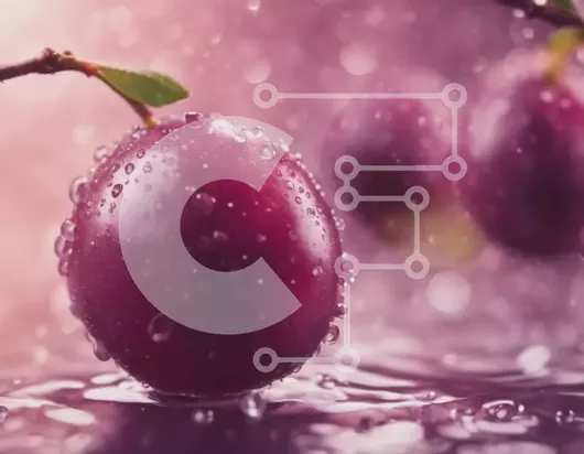 Intra Συλλεκτικό Ξύλινο Παζλ Plywood  4mm - Ζουμερά δαμάσκηνα σε ένα κλαδί με σταγόνες νερού Σε Ξύλινο Κουτί - Διαστάσεις: 10x10 cm – 25 κομμάτια