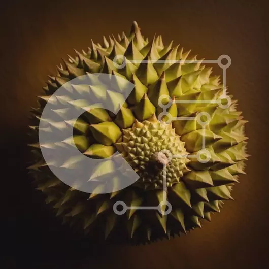 Intra Συλλεκτικό Ξύλινο Παζλ Plywood  4mm - Κοντινή όψη του φρούτου Durian σε καφέ φόντο Σε Ξύλινο Κουτί - Διαστάσεις: 10x10 cm – 25 κομμάτια