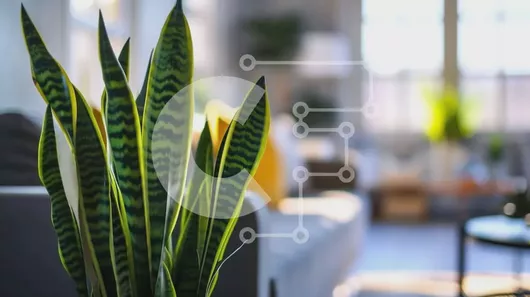 Intra Συλλεκτικό Ξύλινο Παζλ Plywood  4mm - Φυτό σε γλάστρα στο σαλόνι με πράσινα φύλλα Σε Ξύλινο Κουτί - Διαστάσεις Puzzle: 10x10 cm – 25 κομμάτια