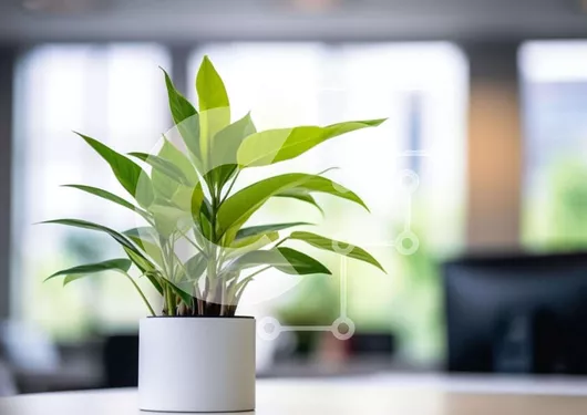 Intra Συλλεκτικό Ξύλινο Παζλ Plywood  4mm - Μικρό φυτό σε γλάστρα σε χώρο γραφείου Σε Ξύλινο Κουτί - Διαστάσεις Puzzle: 10x10 cm – 25 κομμάτια