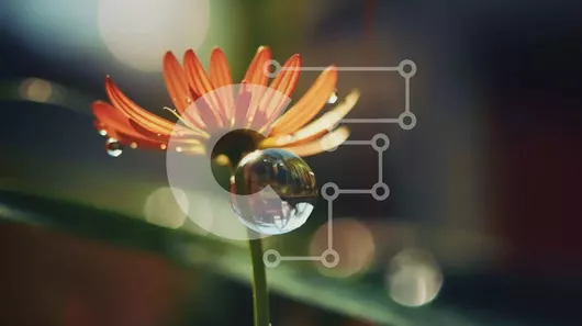 Intra Συλλεκτικό Ξύλινο Παζλ Plywood  4mm - Πορτοκαλί λουλούδι με σταγόνα νερού στο στέλεχος Σε Ξύλινο Κουτί - Διαστάσεις: 10x10 cm – 25 κομμάτια