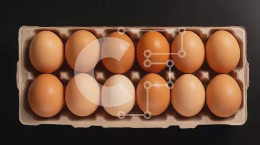 Intra Συλλεκτικό Ξύλινο Παζλ Plywood  4mm - Κουτί αυγών με 12 καφέ αυγά Σε Ξύλινο Κουτί - Διαστάσεις: 10x10 cm – 25 κομμάτια