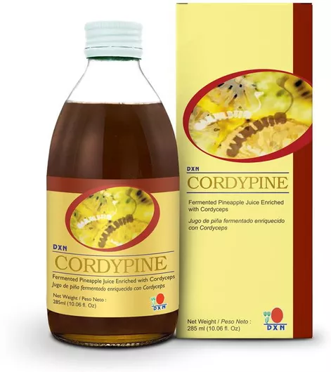 Dxn Cordypine 285 Ml