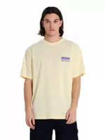 variation-icon-Arnica Yellow