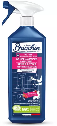 Briochin Αφρός Καθαρισμού για Ανοξείδωτες Επιφάνειες 750ml