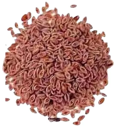 Όλα Bio Ψύλλιουμ σε Σκόνη 1000gr